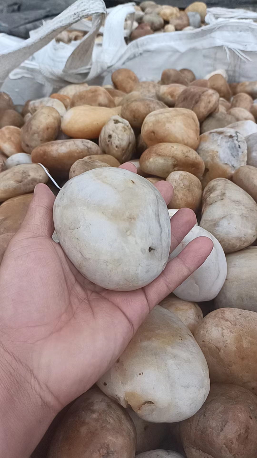 襄阳鹅卵石